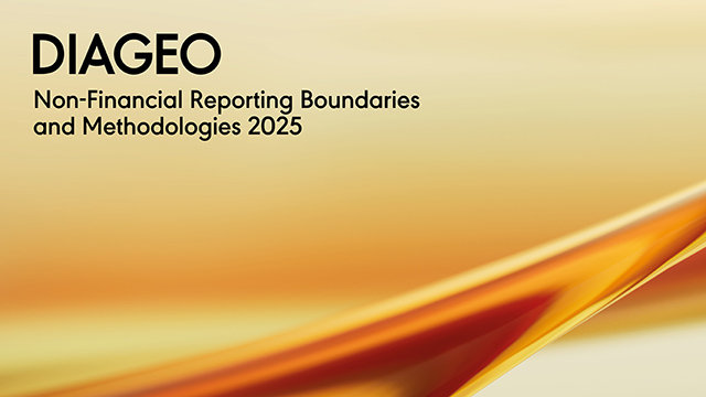Download PDF: Non-Financial Reporting Boundaries and Methodologies 2025